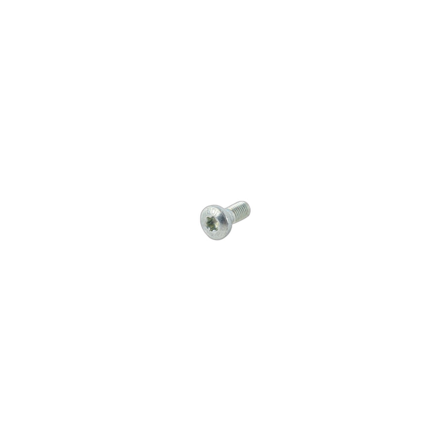 Genuine BMW 52108099039 F23 F80 E60 Screw M8X21 T40 (Inc. X5 3.0i)