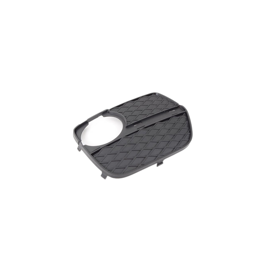 Genuine BMW 51117312606 E71 Closed Grid, Right (Inc. X6)