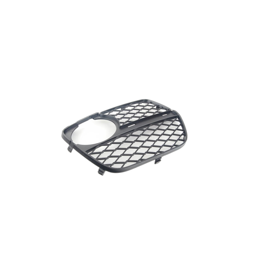 Genuine BMW 51117312604 E71 Open Grid, Right (Inc. X6)