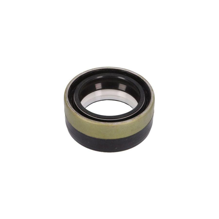 BTA B06-2217 Seal, Drive Shaft