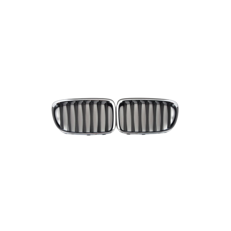 Genuine BMW 51117347667 E84 Set Of Trim Grills, Front BASIS (Inc. X1 35iX, X1 20dX & X1 18d)