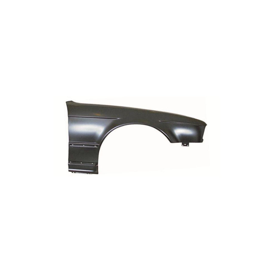 Blic 6504-04-0057312P Wing Fender for BMW 5 Series
