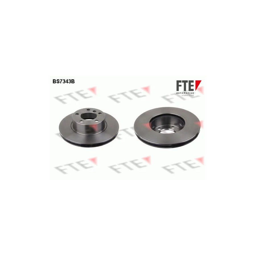 FTE Bs7343B Brake Disc