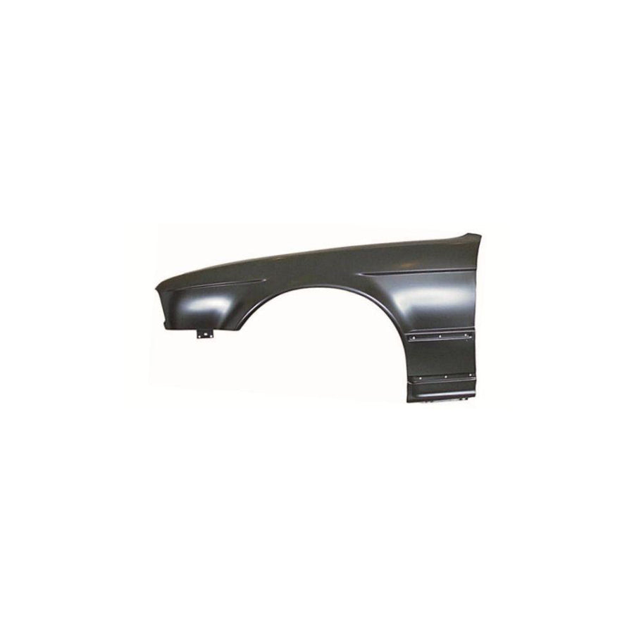 Blic 6504-04-0057311P Wing Fender for BMW 5 Series