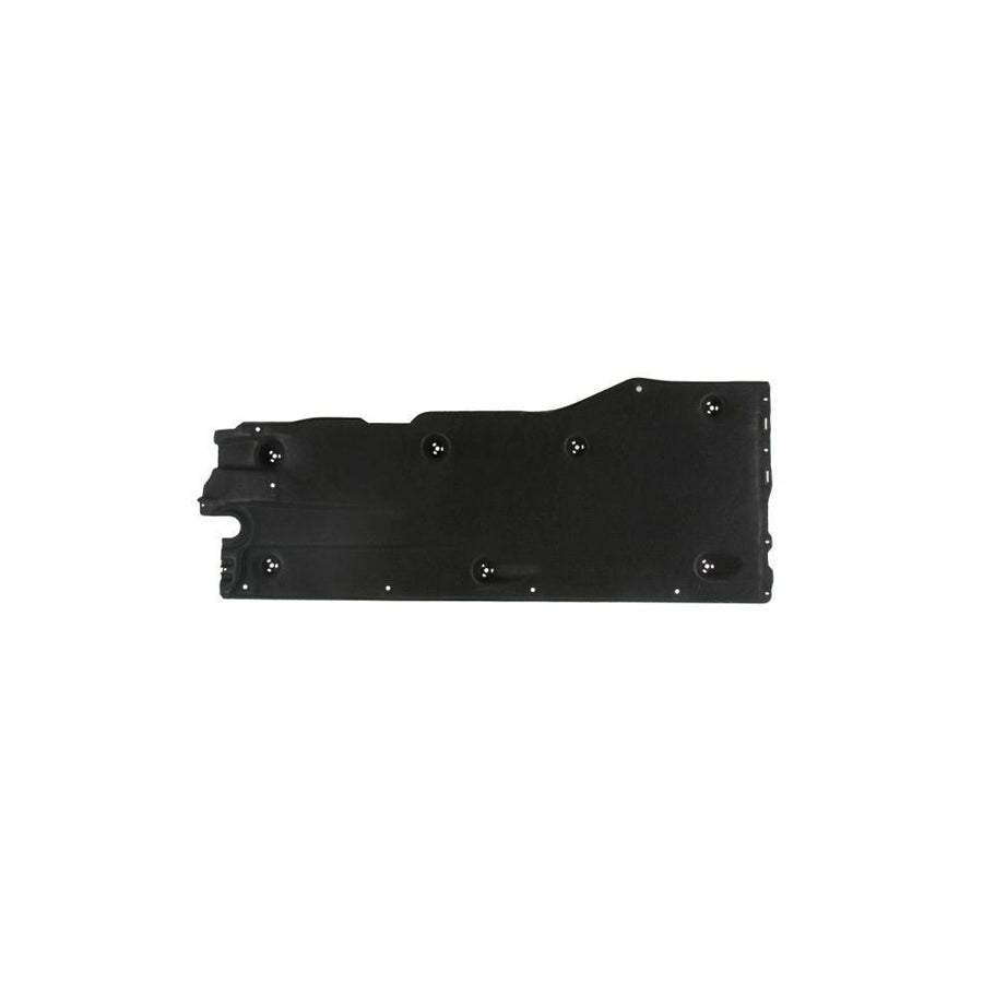 Blic 6601-02-9549982P Engine Cover for VW Passat
