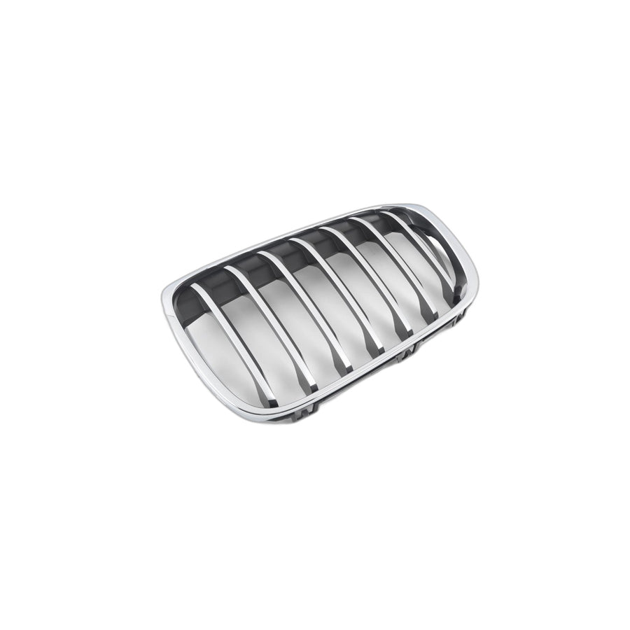 Genuine BMW 51117383365 F48 Grille, Front, Left X LINE (Inc. X1 25dX, X1 28iX & X1 18i)