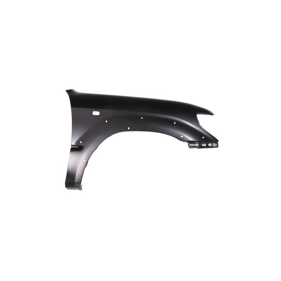 Blic 6504-04-8135312P Wing Fender for Toyota Land Cruiser Prado 90 (J90)