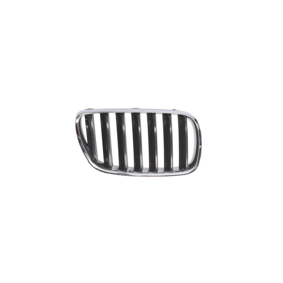 Blic 6502-07-00939920P Radiator Grille for BMW X3 (E83)