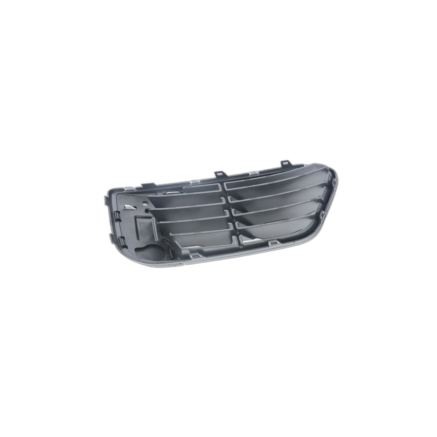 Genuine BMW 51117453989 F48 Open Grid, Left X-LINE (Inc. X1 18i, X1 20dX & X1 20i)