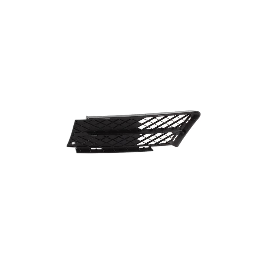Genuine BMW 51117134081 E90 E91 Partially Open Grid, Left (Inc. 323i, 320i & 330d)