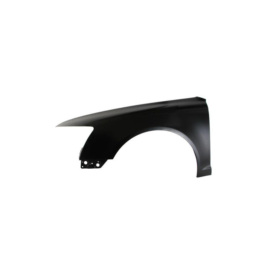 Blic 6601-02-9548862P Engine Cover for VW Tiguan I (5N)