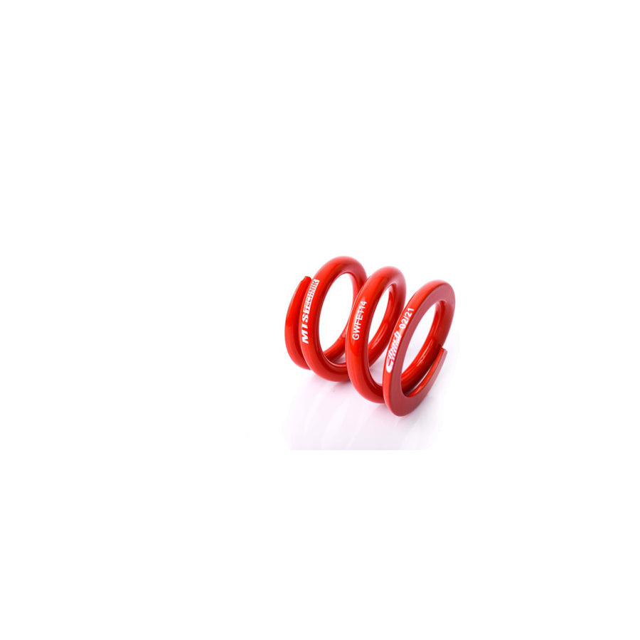 MTS Technik BMW Coil Spring - GWFE114 Spare Parts | ML Performance UK Car Parts
