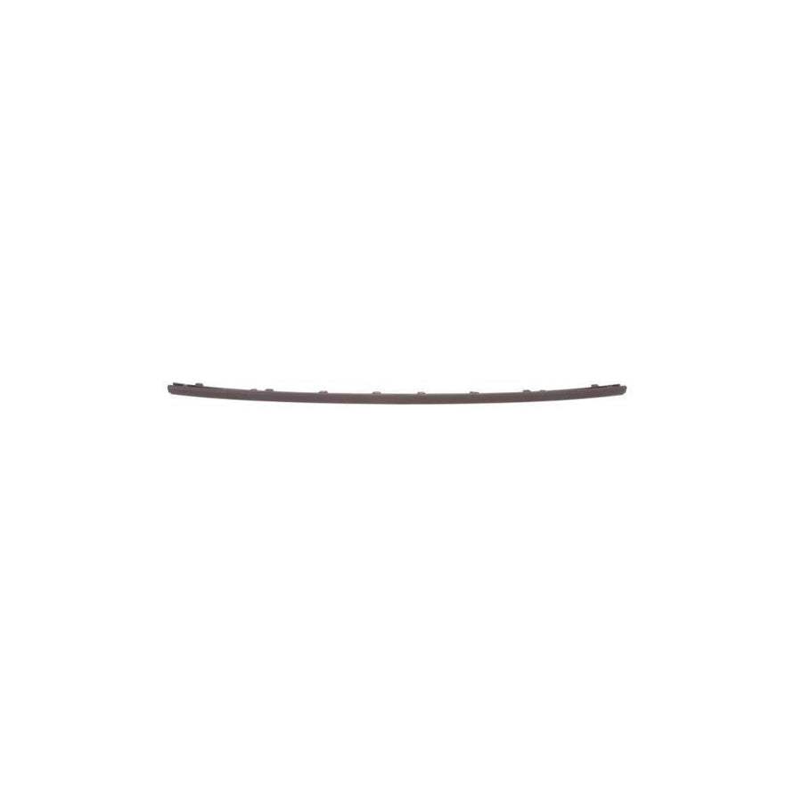 Blic 5513-00-2533976P Bumper Moulding for Ford Focus