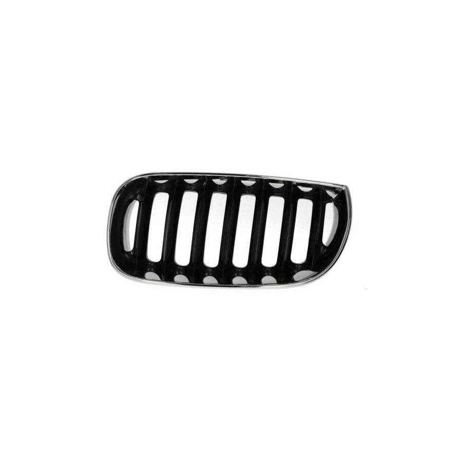 Blic 6502-07-0093991P Radiator Grille for BMW X3 (E83)