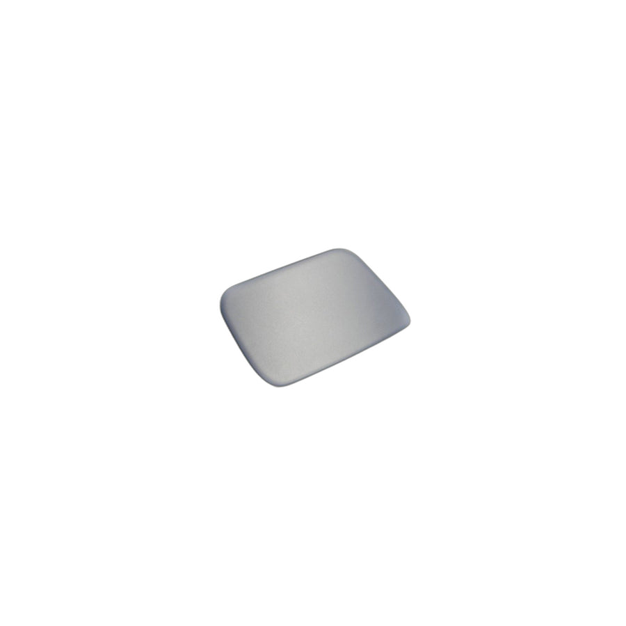Genuine BMW 51117897212 E61 E60 Flap Prime Coated Right M (Inc. 530d, 535d & 530xd)