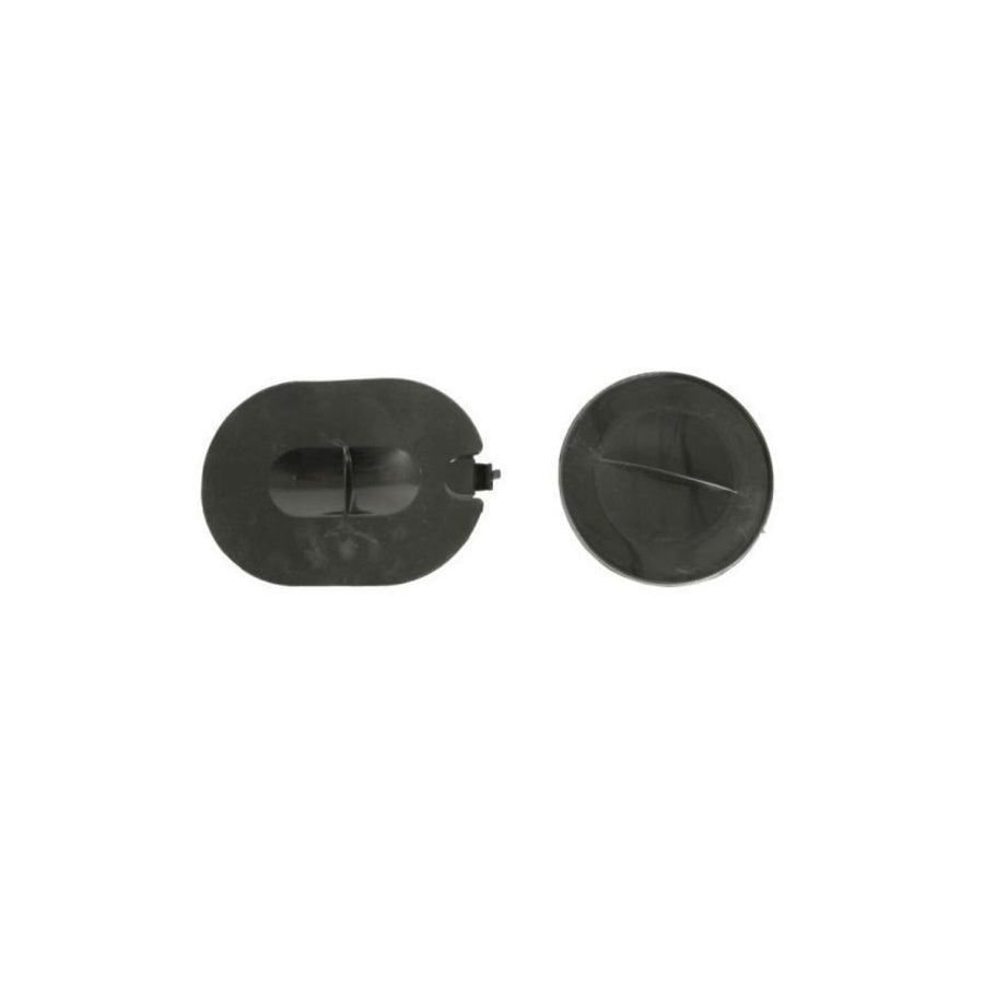 Blic 6601-05-0000013P Engine Cover for Renault Megane