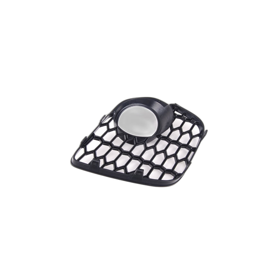 Genuine BMW 51118047344 E70 Open Grid, Right M (Inc. X5)