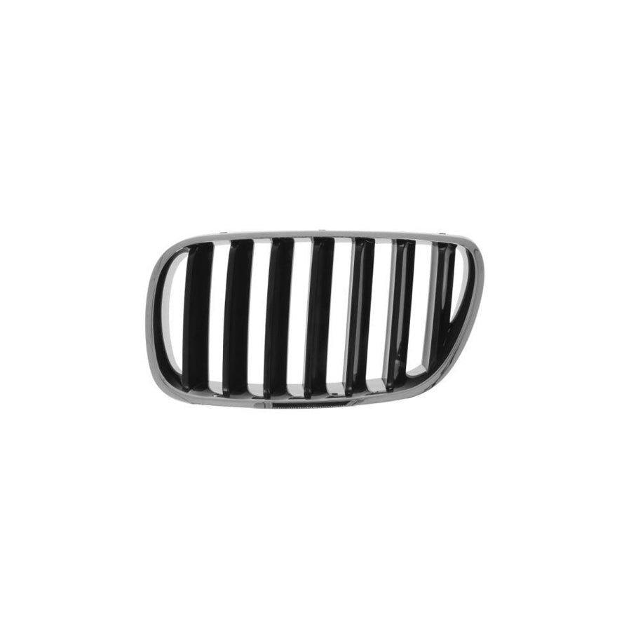 Blic 6502-07-00939910P Radiator Grille for BMW X3 (E83)