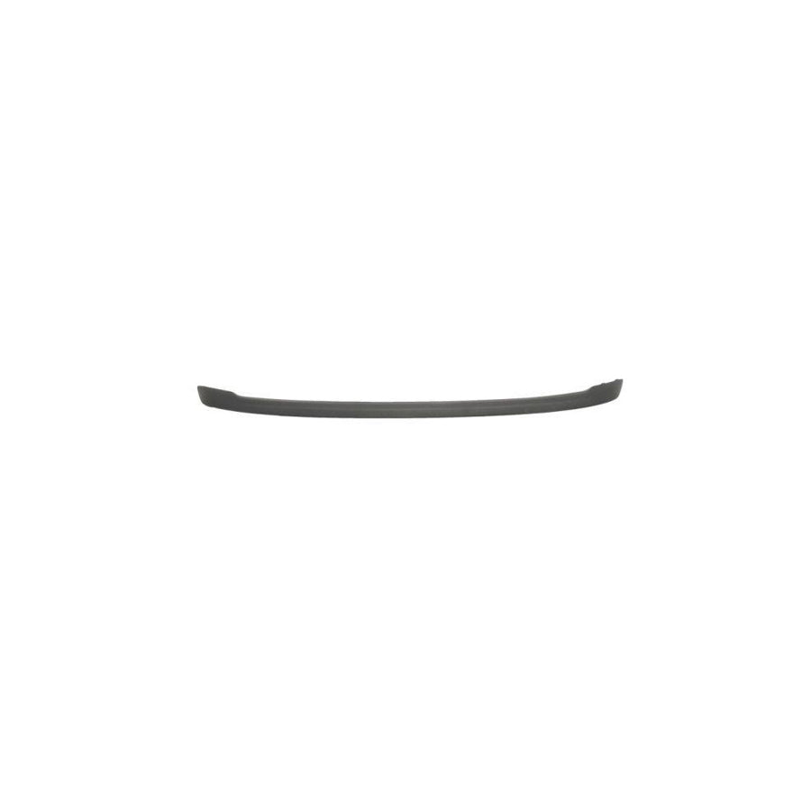 Blic 5513-00-25339761P Bumper Moulding for Ford Focus
