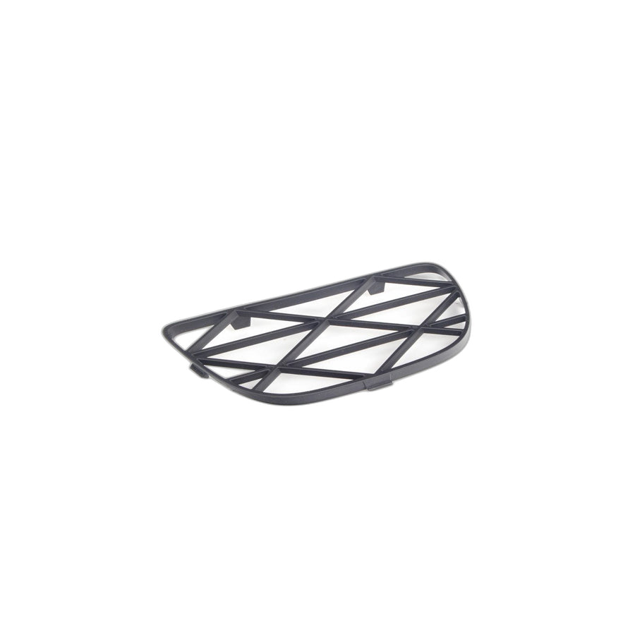 Genuine BMW 51118038267 E70 Open Grid, Left (Inc. X5)
