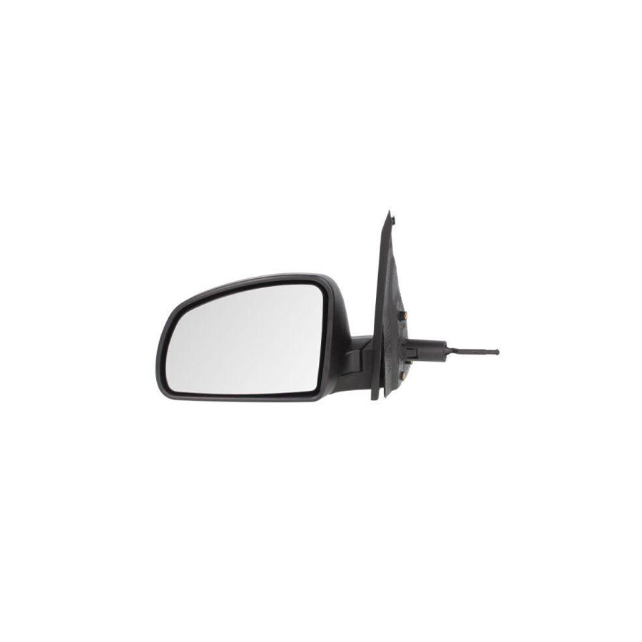 Blic 5402-04-2001993P Wing Mirror for Opel Meriva A (X03)