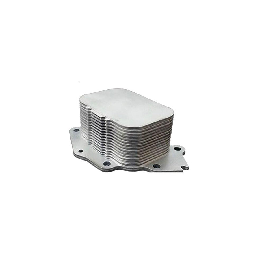 BUGIAD Bsp24945 Engine Oil Cooler
