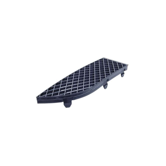 Genuine BMW 51117135564 E65 E67 E66 Grid Lateral Right (Inc. 730Ld, 750Li & 740i)