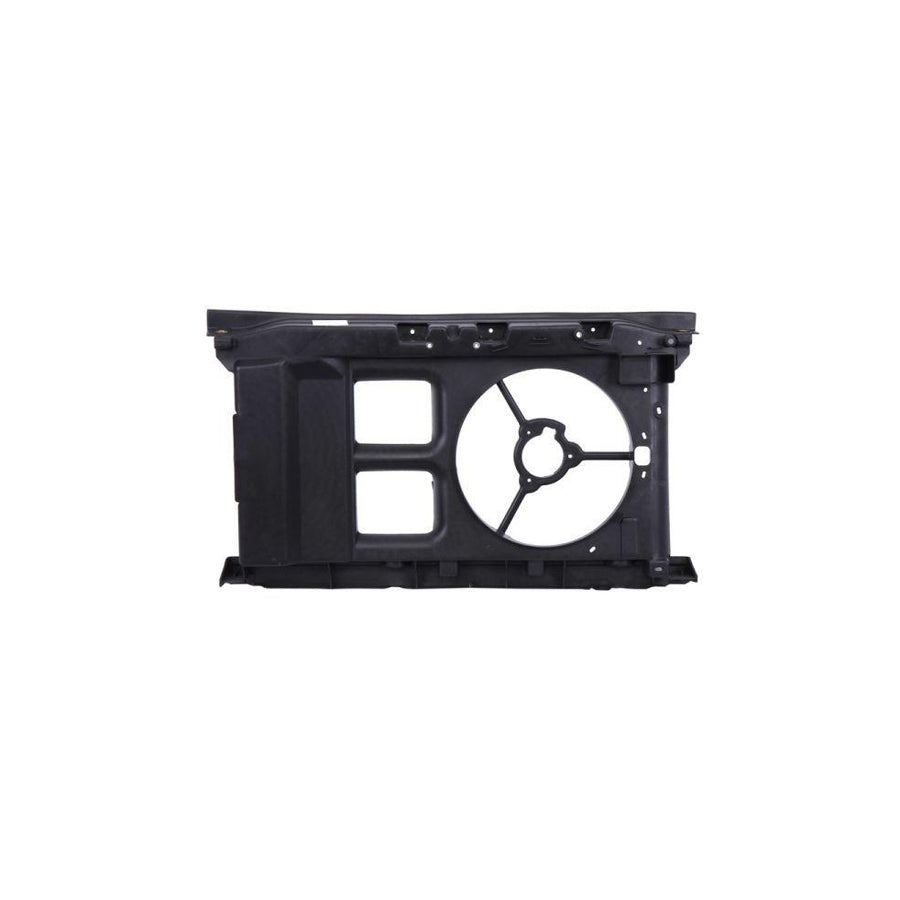 Blic 6502-08-5514203P Front Cowling for Peugeot 307