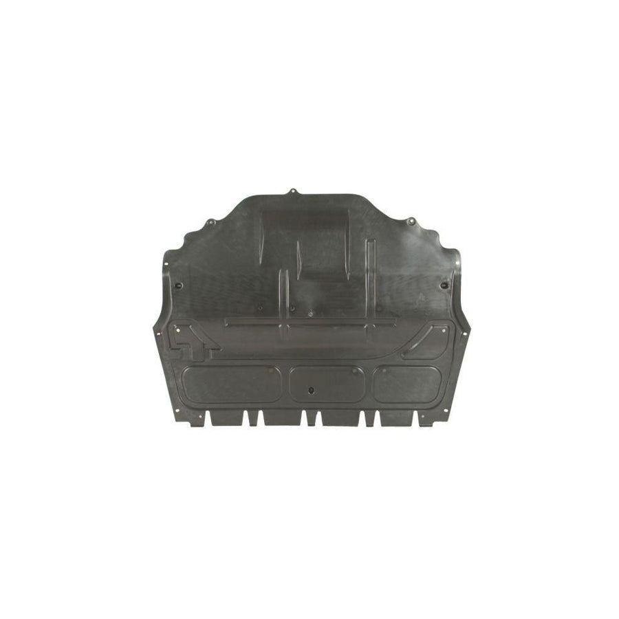 Blic 6601-05-0000010Q Engine Cover