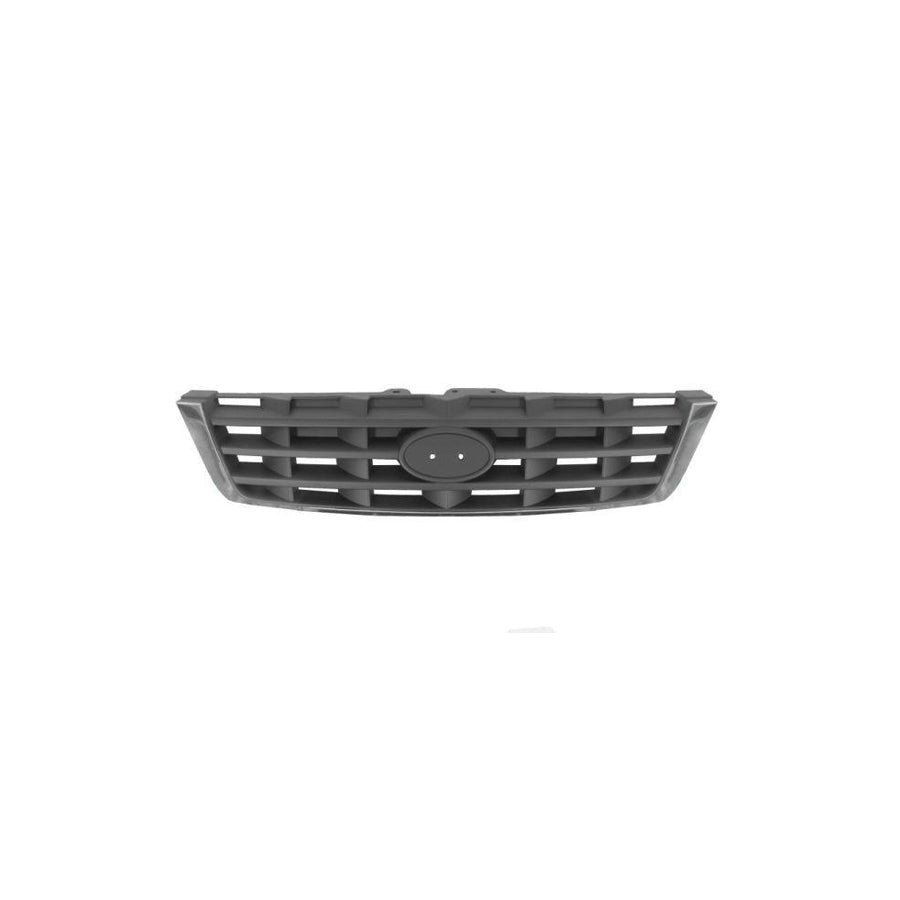 Blic 6502-07-3155996P Radiator Grille