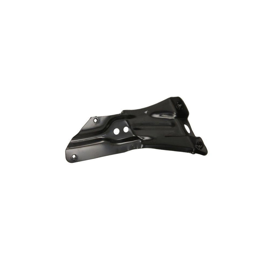 Blic 7802-03-9534382P Holder, Mudguard for VW Golf