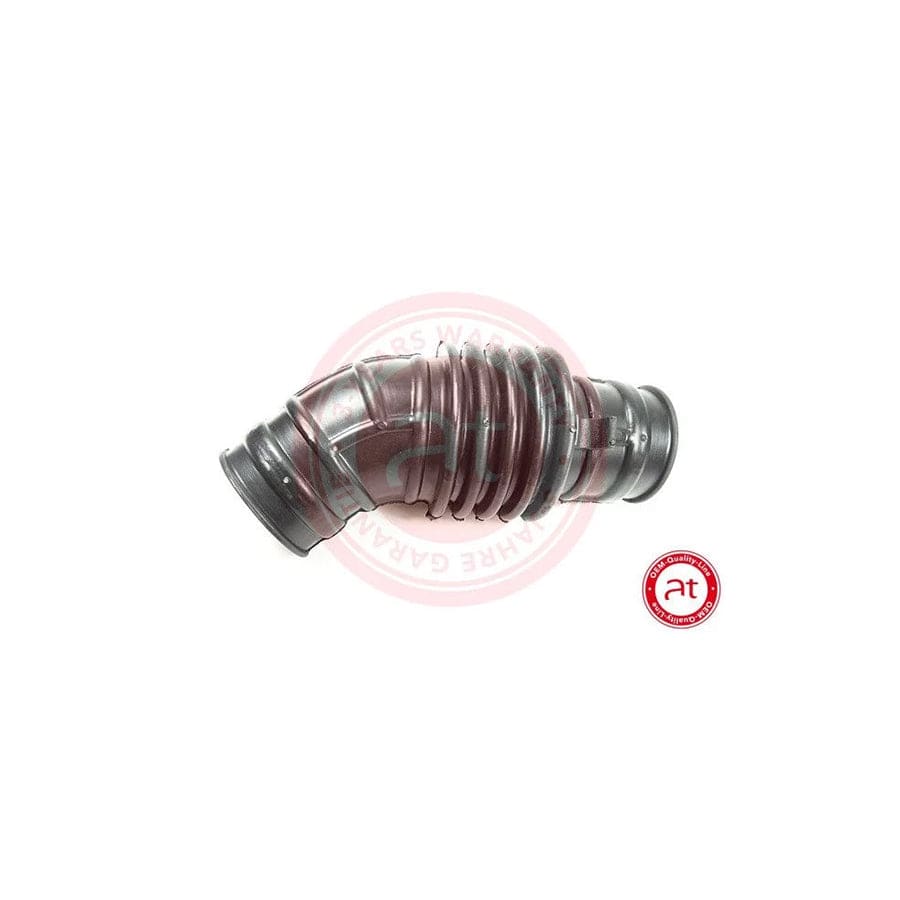 at autoteile germany At21109 Intake Pipe, Air Filter