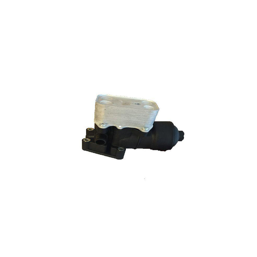 BUGIAD Bsp24941 Oil Filter Housing