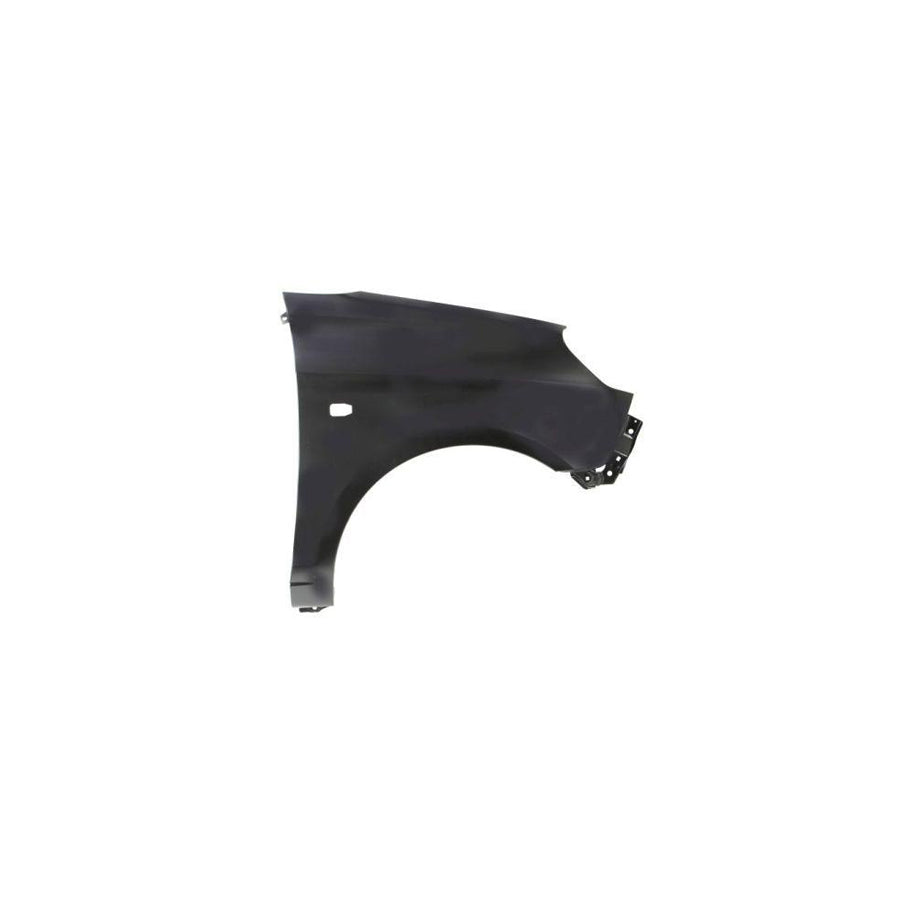 Blic 6504-04-3265314P Wing Fender for KIA Picanto I (Sa)