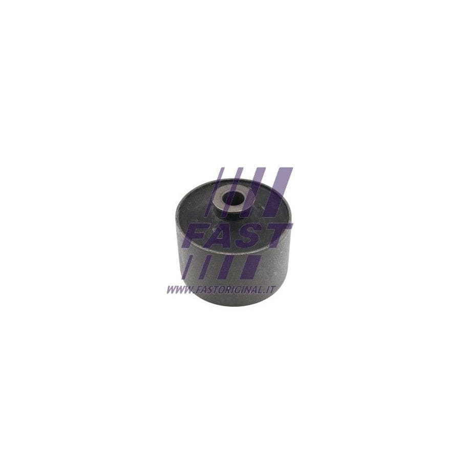 Fast Ft18202 Axle Bush