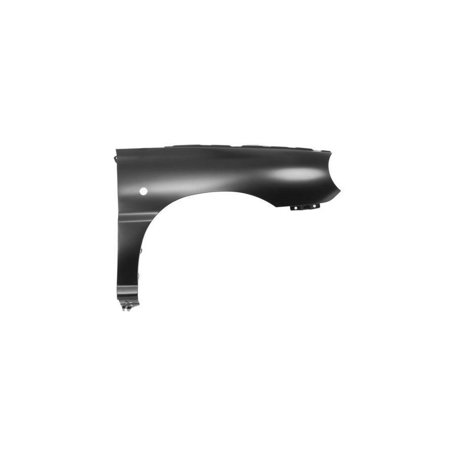 Blic 6504-04-3276312P Wing Fender for KIA Rio