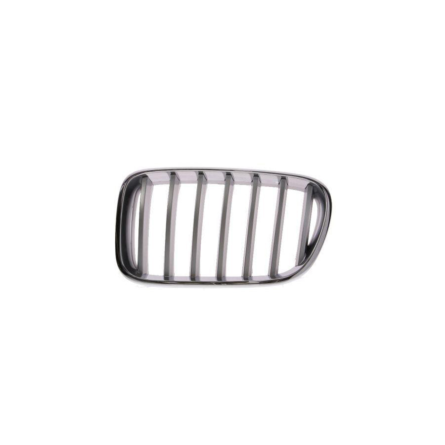 Blic 6502-07-0093997P Radiator Grille