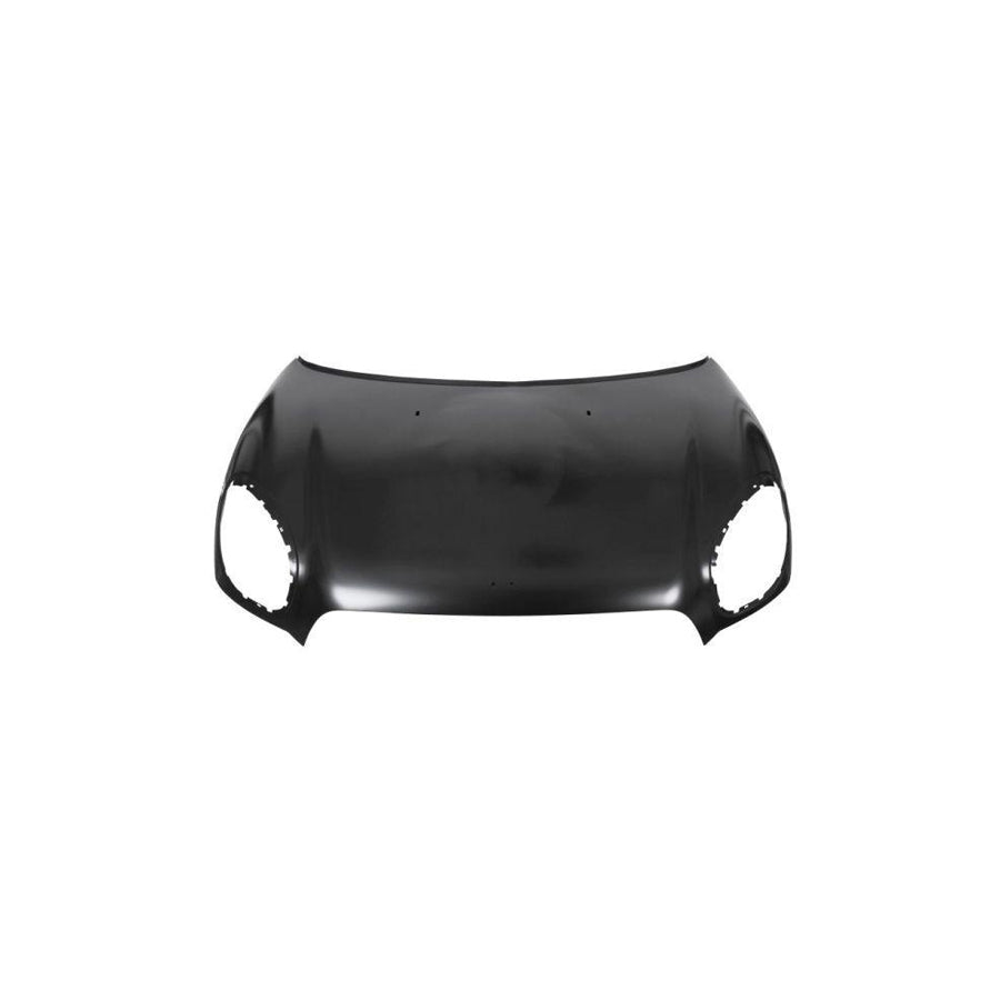 Blic 6803-00-4003280P Bonnet for Mini CountryMAN (R60)