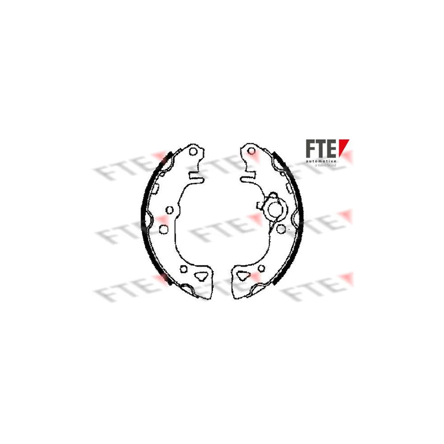 FTE 9100011 Brake Shoe Set