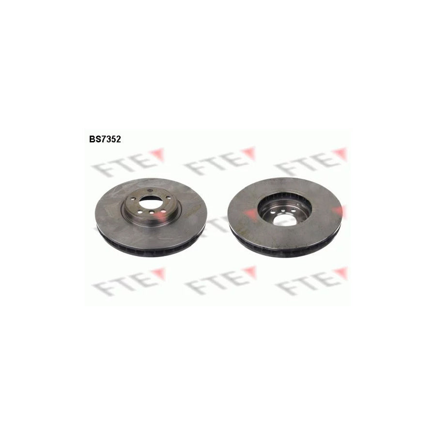 FTE Bs7352 Brake Disc for BMW X5 (E53)