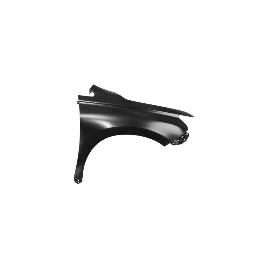Blic 6504-04-8122316P Wing Fender for Lexus Rx III (Al10)