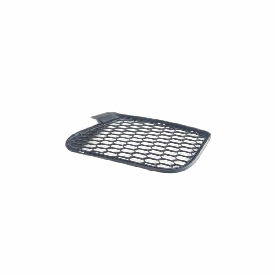 Genuine BMW 51117205578 E70 E71 Open Grid, Right (Inc. X5 M & X6 M)