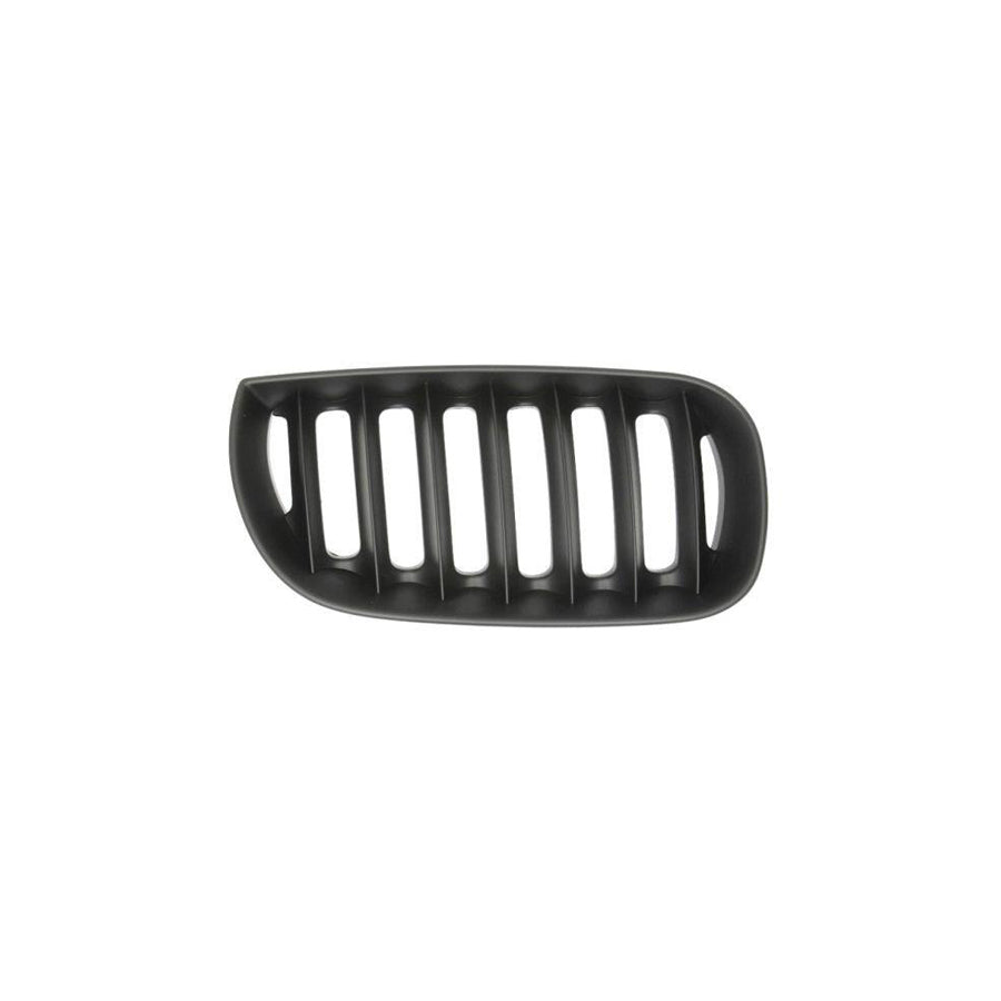 Blic 6502-07-0093996P Radiator Grille for BMW X3 (E83)