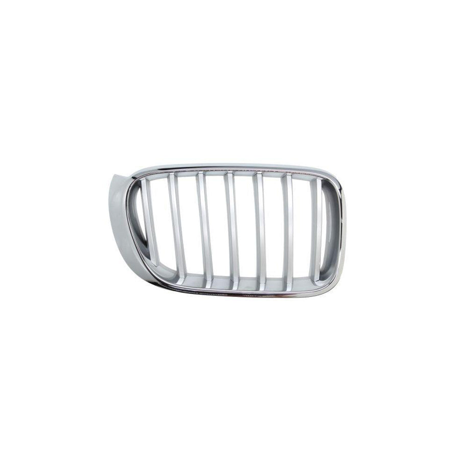 Blic 6502-07-00939966P Radiator Grille
