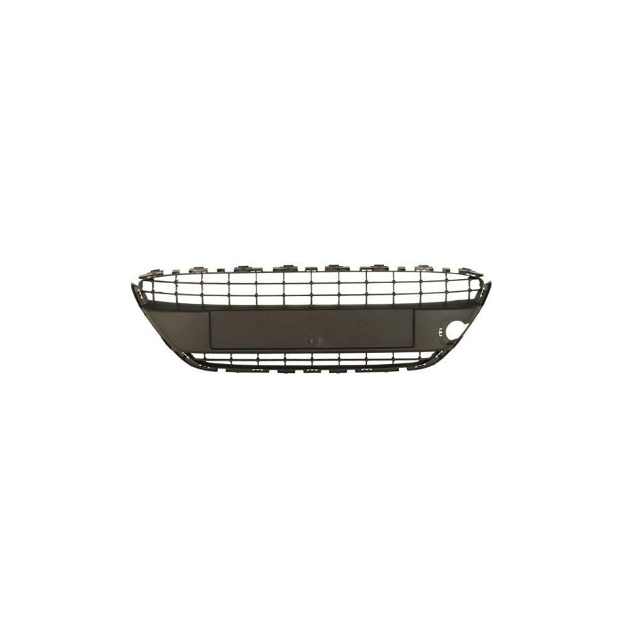 Blic 9999-43-003443P Door Molding for Skoda Octavia
