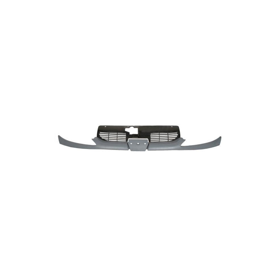 Blic 6502-07-5507992P Radiator Grille for Peugeot 206