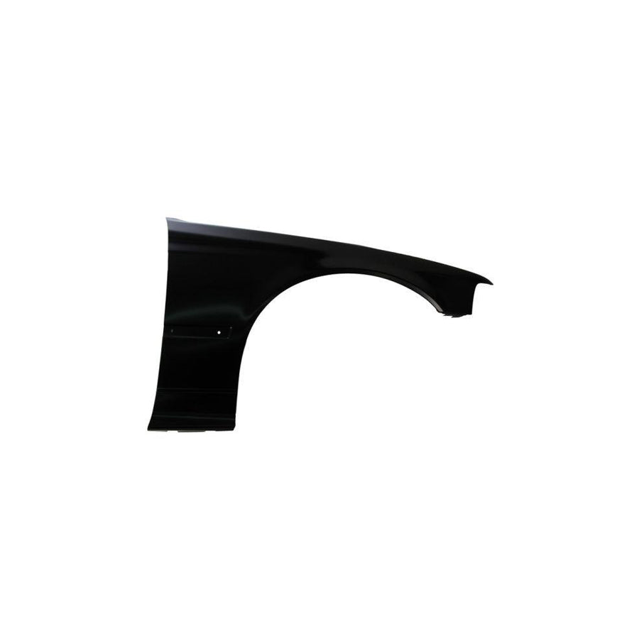 Blic 6504-04-0060312P Wing Fender for BMW 3 Series