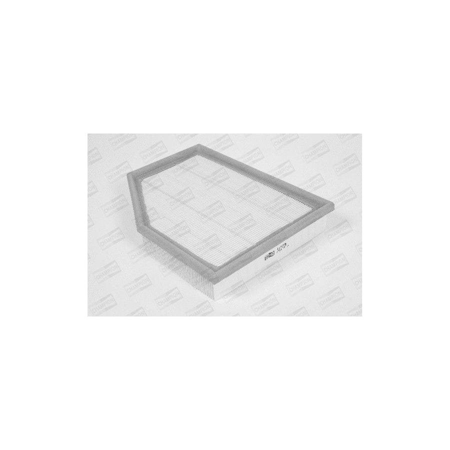 Champion U773/606 Air Filter