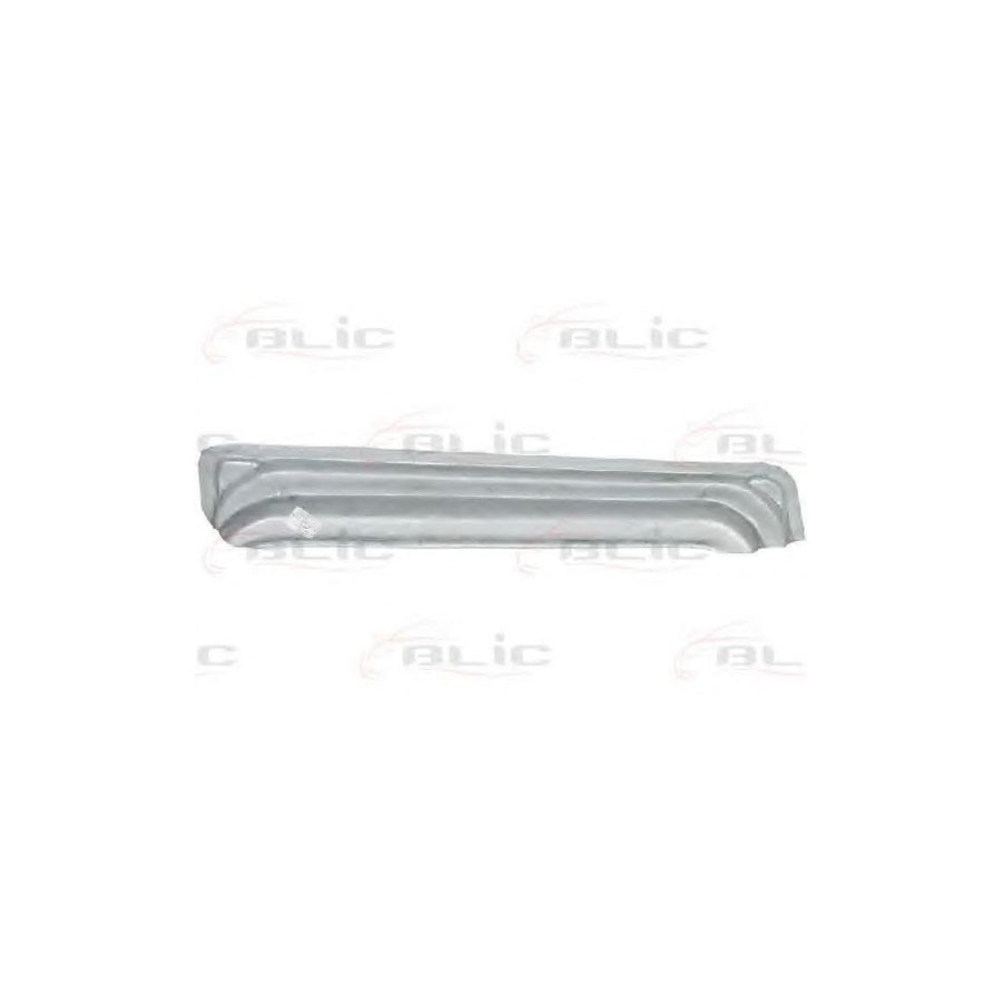 Blic 6015-00-3548131P Door, Body
