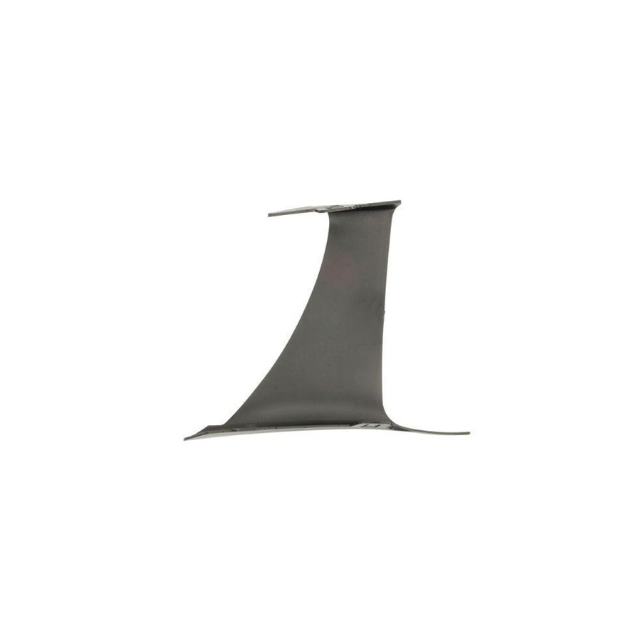 Blic 6015-00-3548130P Door, Body